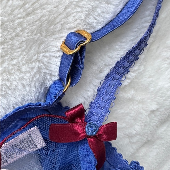 AGENT PROVOCATEUR Lorna Plunge Underwired Bra in Blue/Dark Red - Picture 9 of 12